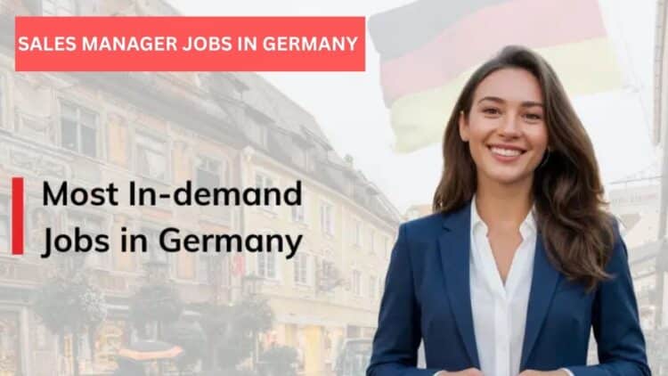 Sales Manager Jobs In Germany