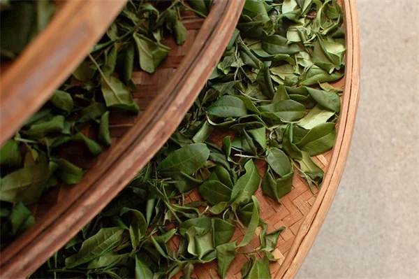 10 Essential April Gardening Tasks for the Southern US