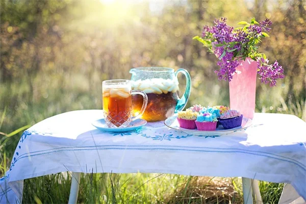 Build a Shade Rock Garden: 10 Perfect Plants &amp; Common Mistakes