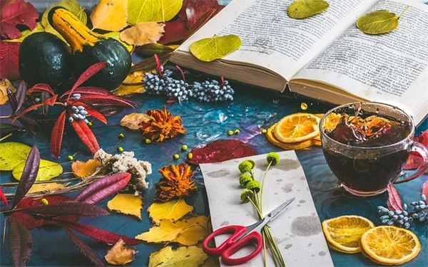 5 Essential August Gardening Tasks for the Ohio Valley