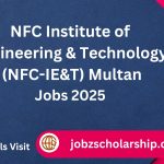 NFC IET Multan Jobs