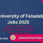 The University of Faisalabad Jobs